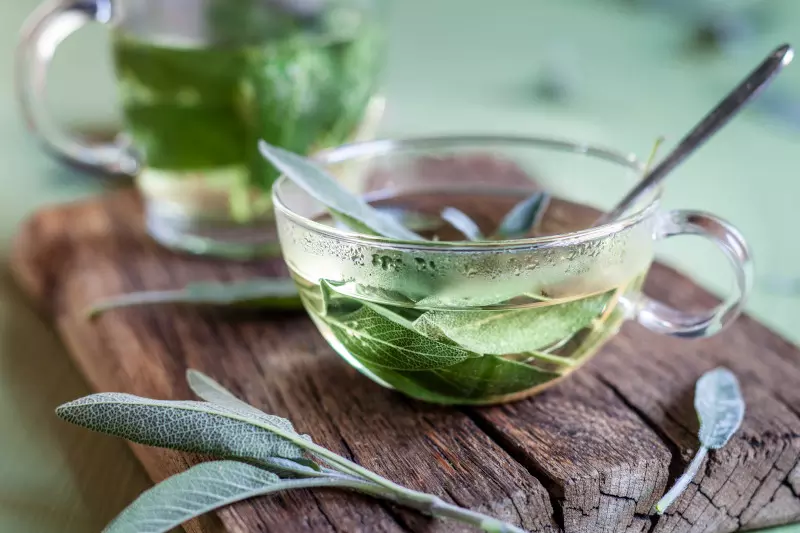 Eine Tasse mit heißem Wasser und frischem Salbei
