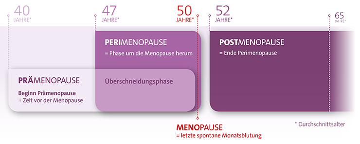 Grafik Menopause - letzte Monatsblutung
