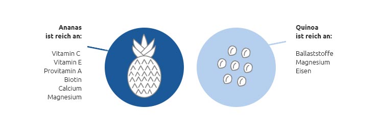 Icon Ananas und Icon Quinoa