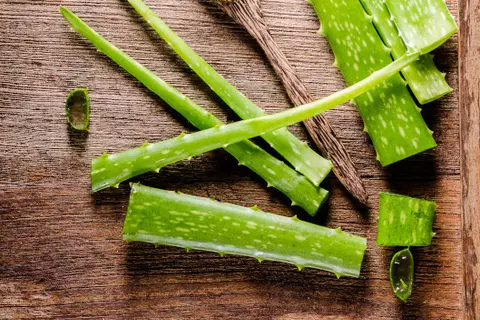 Stücke der Pflanze Aloe Vera