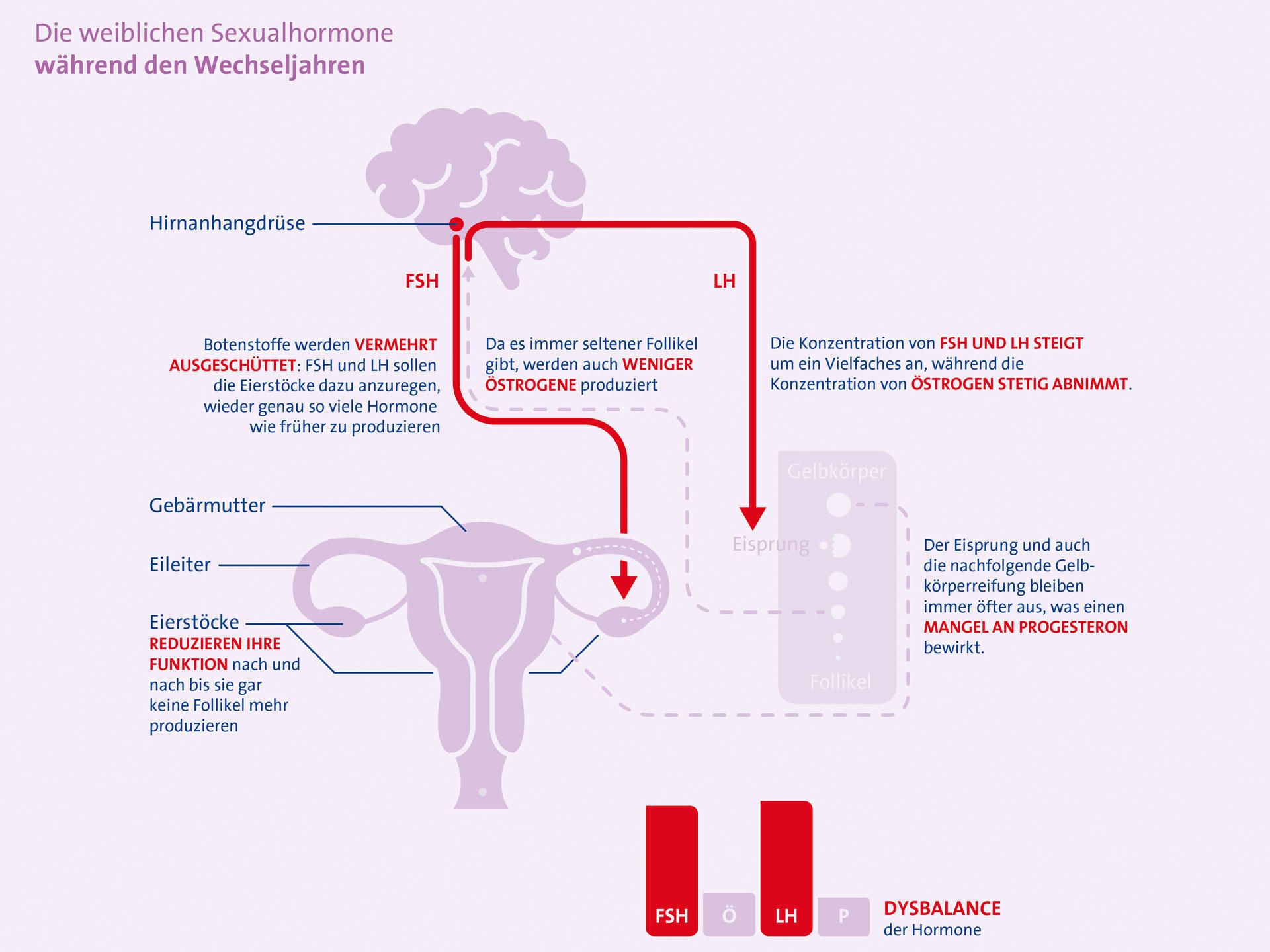Funktion der Eierstöcke verändert sich